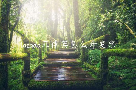 lazada菲律宾怎么开发票